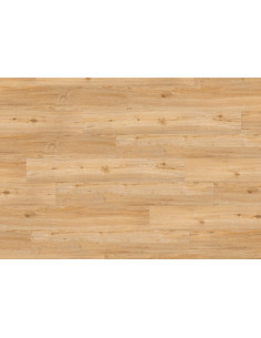 Klikněte pro zvětšení 2