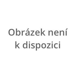 weberfor flex - lepidlo C2TE S1